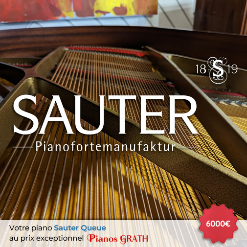 Carousel Piano Sauter Queue occasion